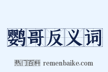 鹦哥反义词是什么意思的图片